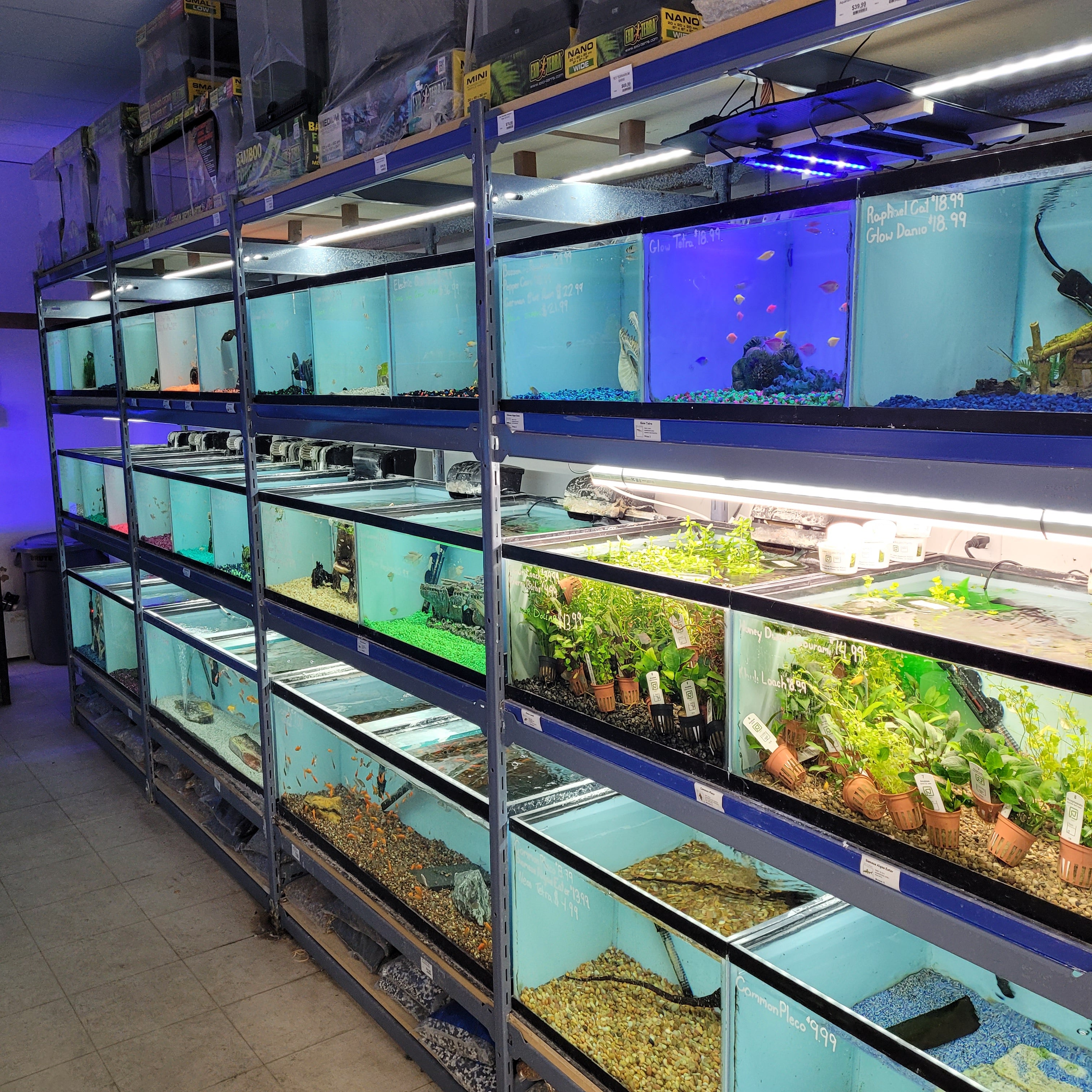 Closest saltwater fish store best sale