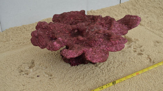 Real Reef Shelf Rock - 10"