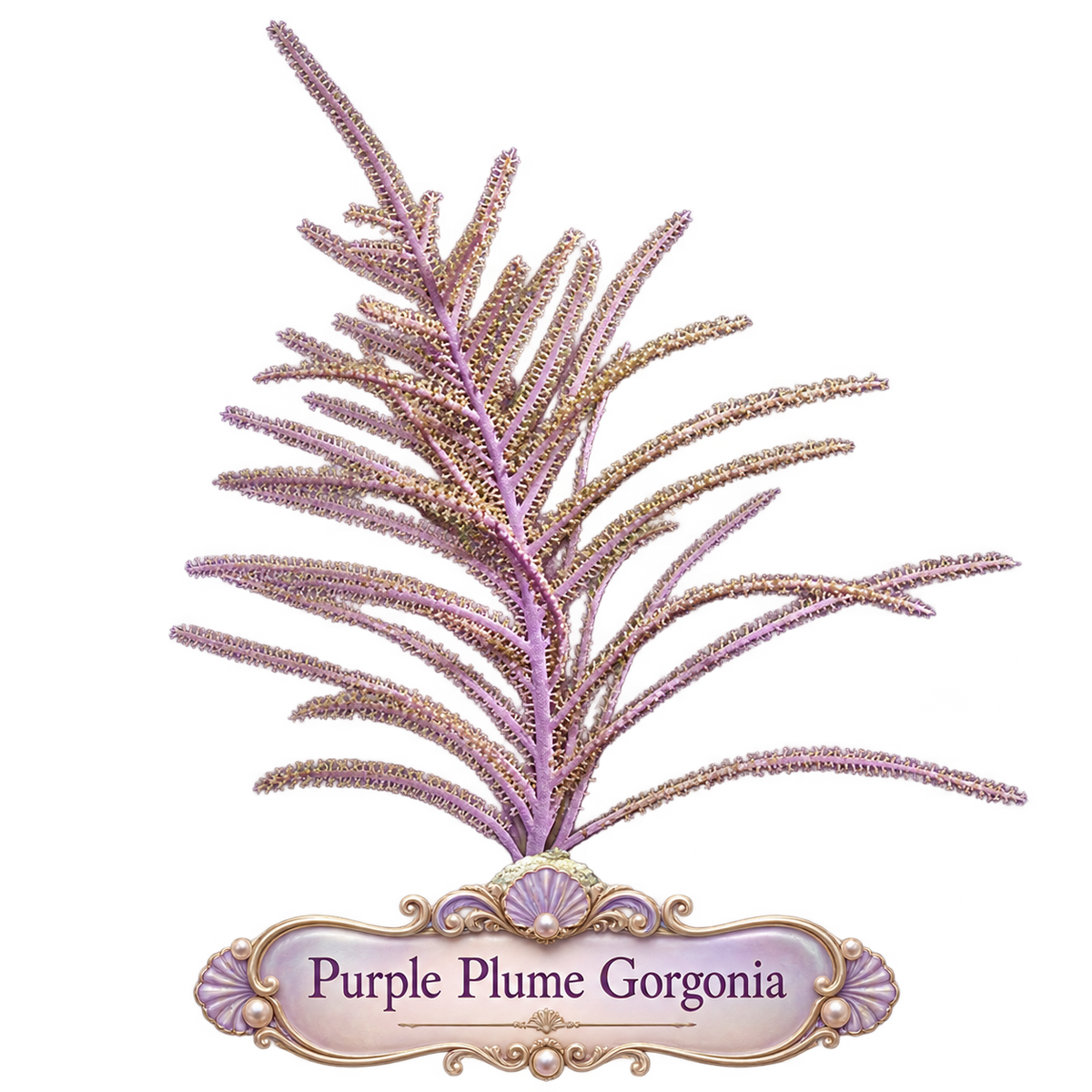 Purple Plume Photosynthetic Gorg - Easy to keep