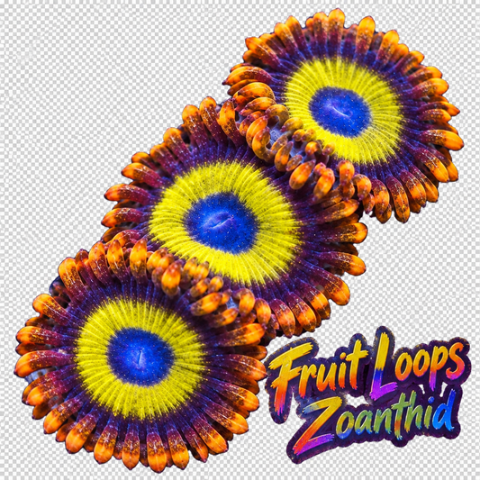 Fruit Loops Zoa Frag